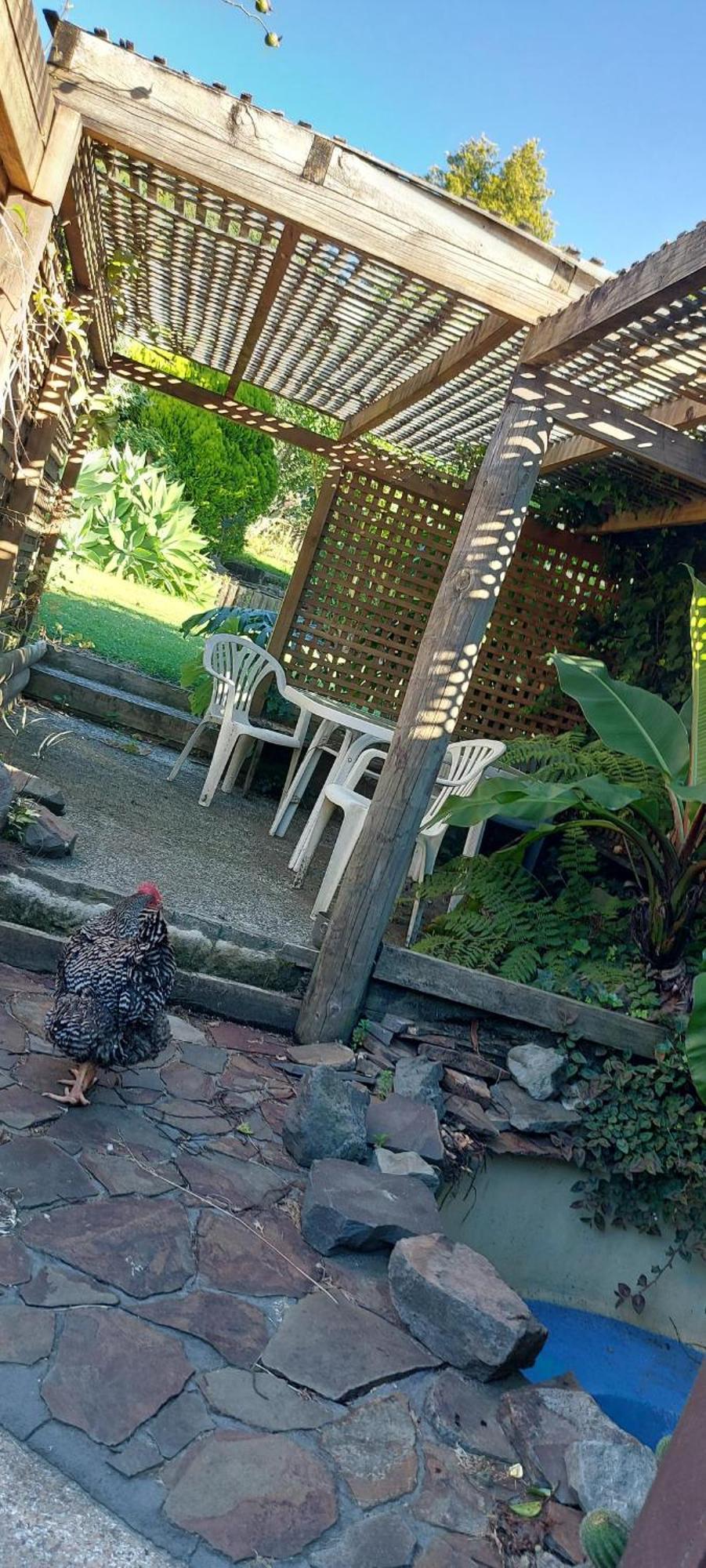Haley'S Cabin Tauranga Exterior photo