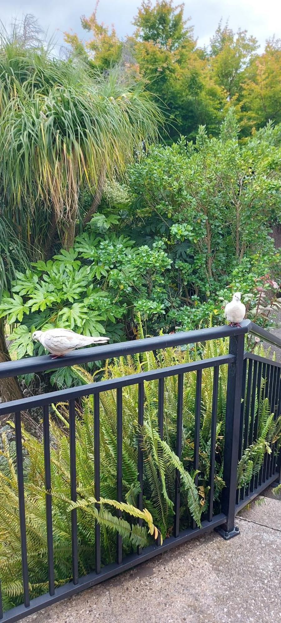 Haley'S Cabin Tauranga Exterior photo