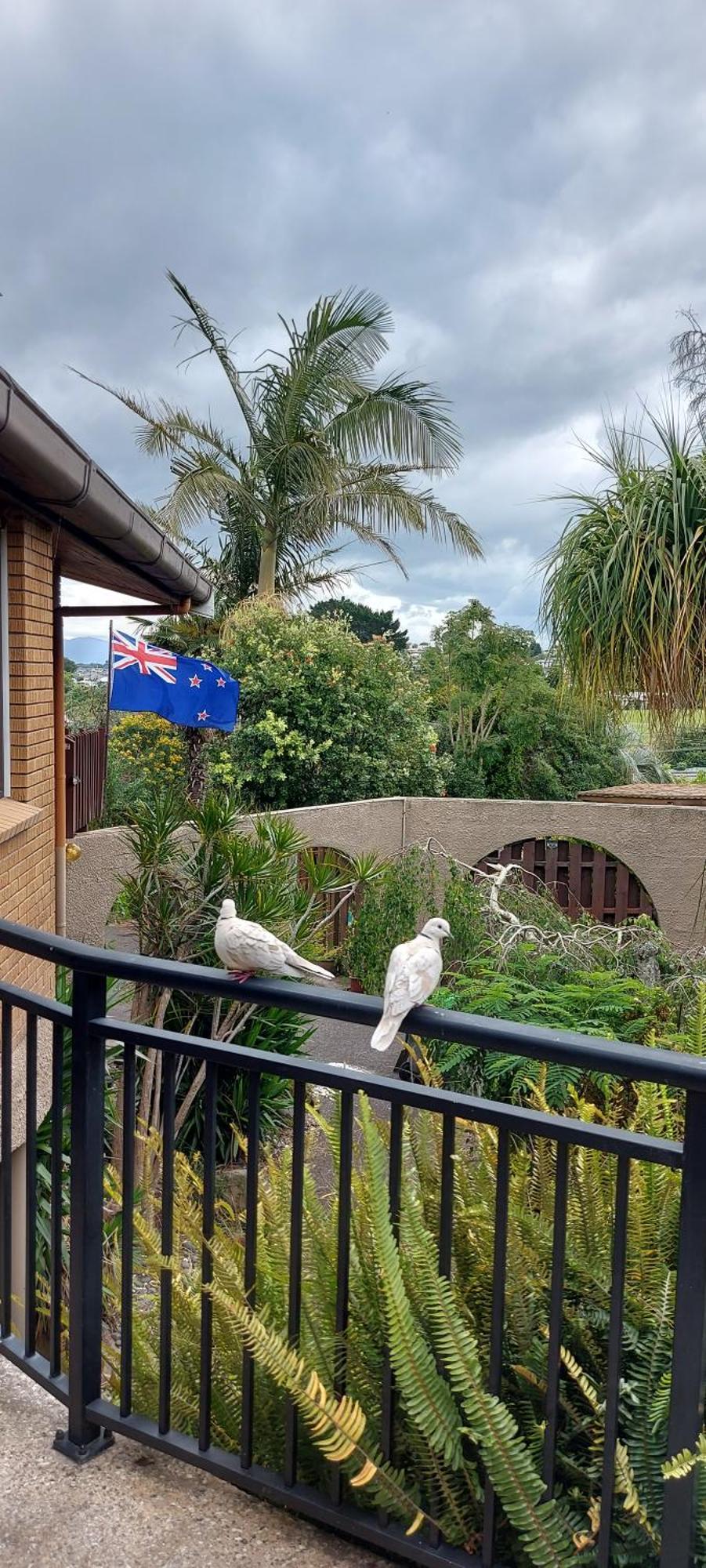 Haley'S Cabin Tauranga Exterior photo